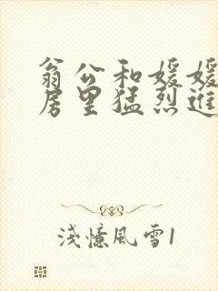 翁公和媛媛在厨房里猛烈进出