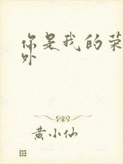 你是我的荣耀番外