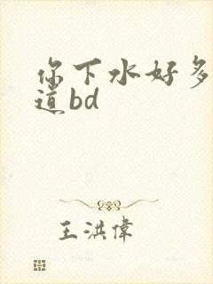 你下水好多下水道bd