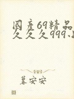 国产69精品久久久久999小说