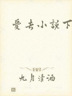 爱去小说下载网