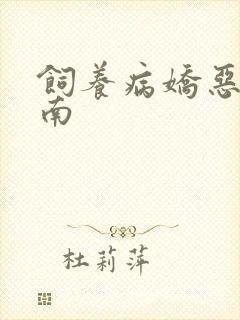 饲养病娇恶龙指南