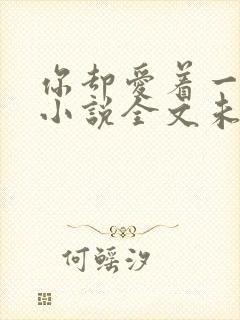 你却爱着一个他小说全文未删减免费