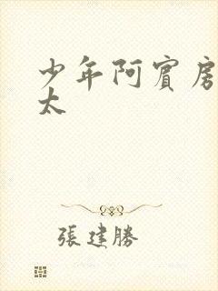 少年阿宾房东太太