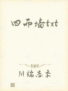 四面墙txt