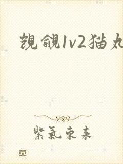 觊觎1v2猫丸