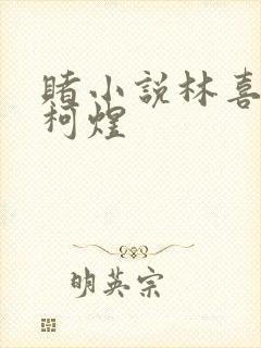 赌小说林喜朝和柯煜