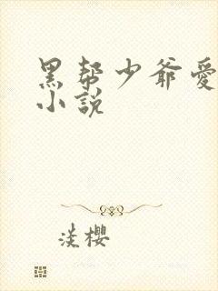黑帮少爷爱上我小说