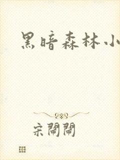 黑暗森林小说