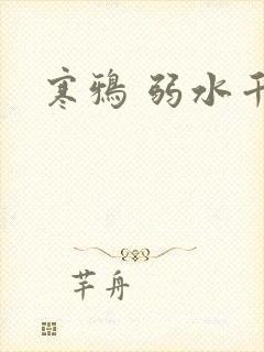 寒鸦 弱水千流