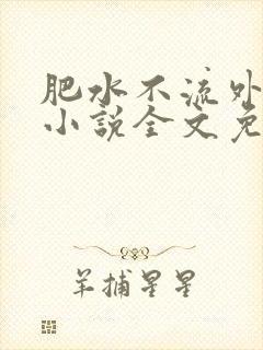 肥水不流外人田小说全文免费阅读1