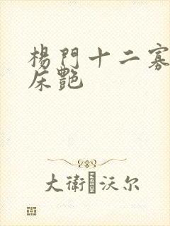 杨门十二寡妇肉床艳