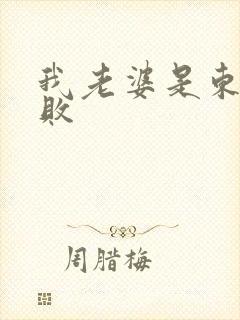 我老婆是东方不败