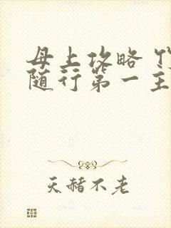 母上攻略 竹影随行第一主板