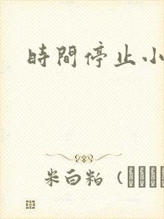 时间停止小说