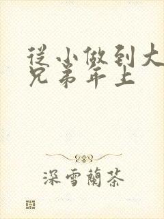 从小做到大骨科兄弟年上