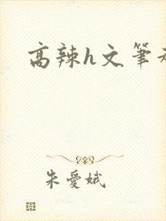 高辣h文笔趣阁