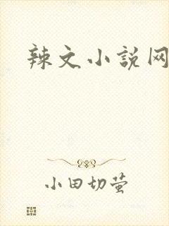 辣文小说网