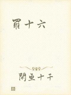 罗十六