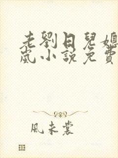 老刘日儿媳妇张岚小说免费阅读