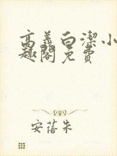 高义白洁小说笔趣阁免费