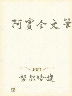 阿宾全文笔趣阁