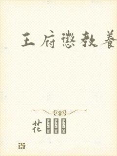 王府惩教养日常