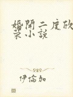 婚开二度欣欣向荣小说