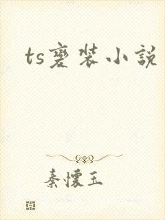 ts变装小说