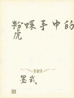 粉蝶手中的纸老虎