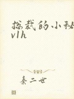 总裁的小秘书1v1h