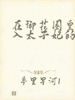 在御花园皇上进入太子妃的小说