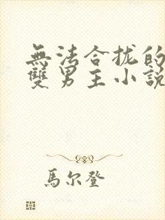 无法合拢的总裁双男主小说