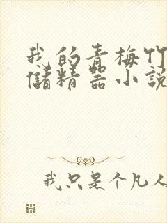 我的青梅竹马是储精器小说