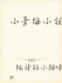 小青梅小说