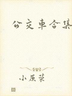 公交车合集