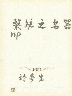 系统之名器攻略np