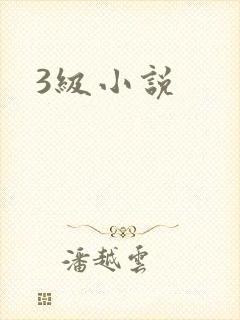 3级小说