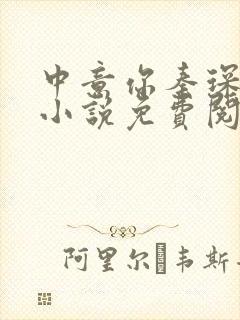 中意你秦琛苏沫小说免费阅读