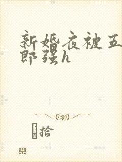 新婚夜被五个伴郎强h