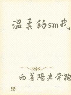温柔的sm我