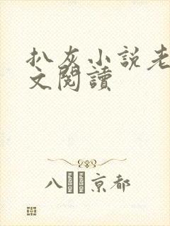 扒灰小说老马全文阅读