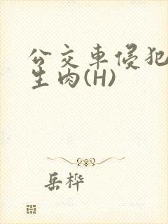 公交车侵犯小男生肉(H)