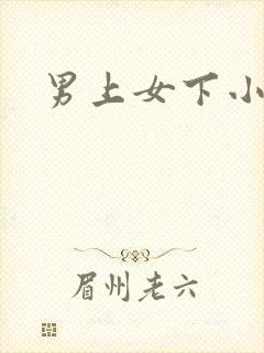 男上女下小说
