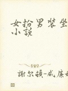 女扮男装坐江山小说