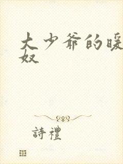 大少爷的暖床小奴