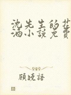 沈先生的花式调酒小说免费阅读