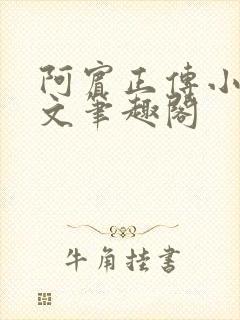 阿宾正传小说全文笔趣阁