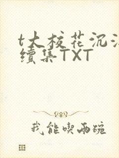 t大校花沉浮录续集TXT