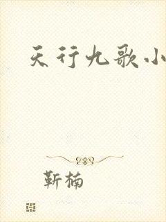 天行九歌小说